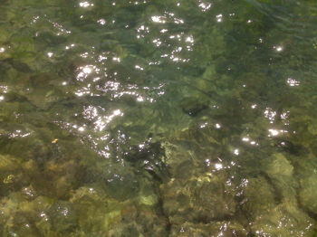 Emirgan'da Deniz