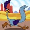 Road Runner