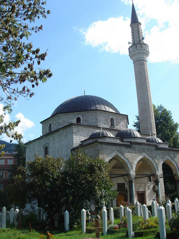 Ali Pasa Ali Pasa